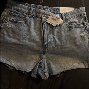 American Eagle Outfitters Light Blue Jean Shorts